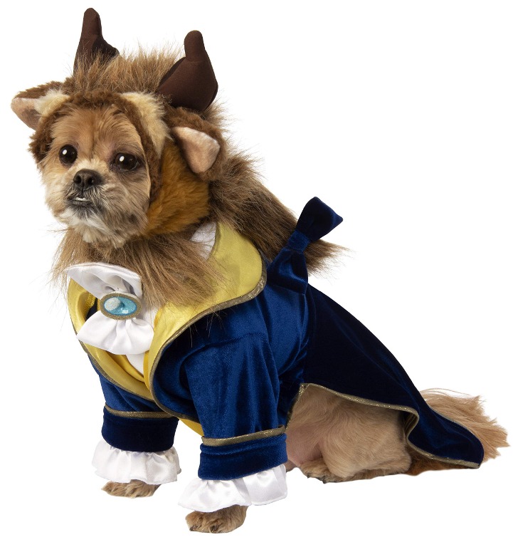 (해외) 미녀와 야수 수컷 강아지 애견 왕자 코스튬 패션 할로윈 코스프레 의상 소형견 대형견