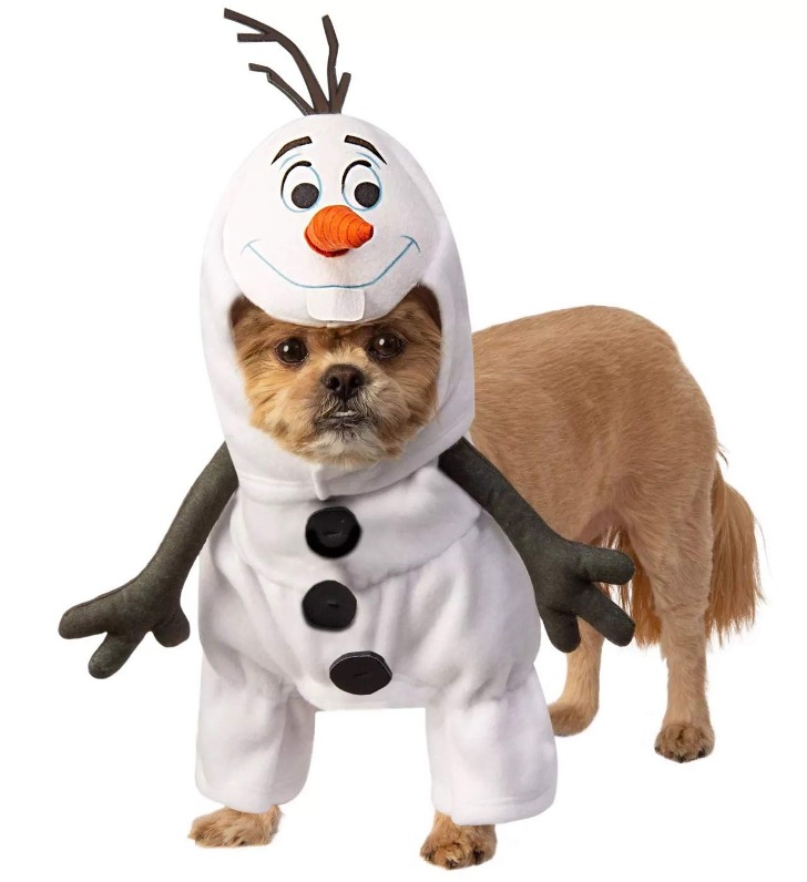 (해외) 겨울왕국 올라프 강아지 애견 코스튬 패션 할로윈 코스프레 의상 소형견 대형견