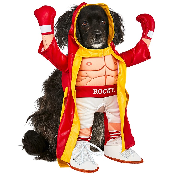 로키 강아지옷 코스프레 의상 할로윈 코스튬 애견의류