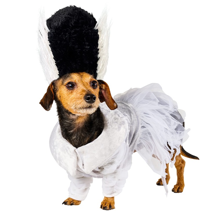 프랑켄슈타인의 신부 강아지 옷 코스프레 의상 할로윈 코스튬 애견의류