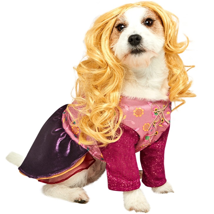 호커스 포커스 세라 샌더슨 세째 마녀 강아지옷 코스프레 의상 할로윈 코스튬 애견의류